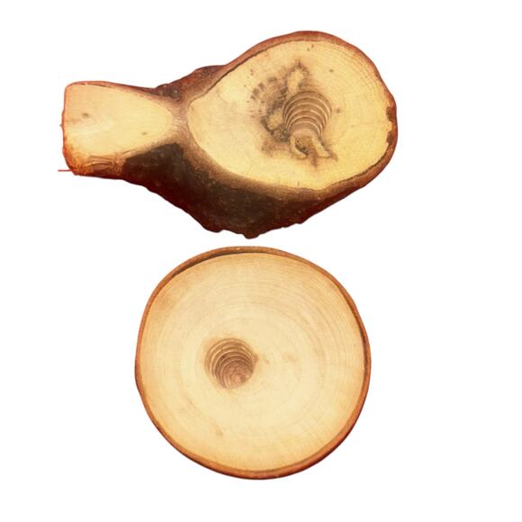 Pair of Natural Stone Wine Stoppers Handcrafted by Sea Stones 2003 New England - Picture 6 of 7